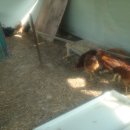 상민농장 이미지