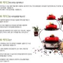 미앤미 이미지