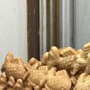 진주여자고등학교 | [진주 맛집]겨울철 길거리 간식 🐟"붕어빵 아자씨", 올해도 찾았다.(사실 자주 찾는다;;)