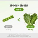 케일 - 양천구 공항대로 594 | 케일