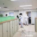 금화크리닝 네이버블로그