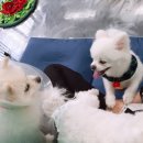 맡기고가개 이미지