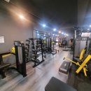 바디웰핏 이미지