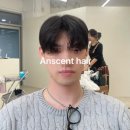 에이엔