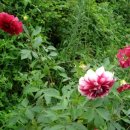 자연의집 이미지