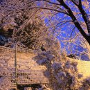 우장산근린공원 이미지