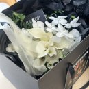 [제주/웨딩스냅] 드리우다(driwuda) & 포아모르(poramor) 내돈내산 추천 후기ღ
