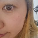 위드렌즈 원데이렌즈 허니원데이 플러스 브라운, 그레이