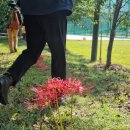 서하체육공원 이미지