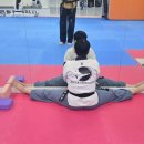 고려 태극태권도장 이미지