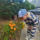 최씨본가참숯화로구이 이미지
