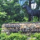 덕소 승마클럽 이미지