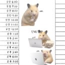 설빙 울진점 | [What's in my vlog] 26년 02월 (下) : 본업은 홈프로텍터, 나머지는 다 부업일 뿐👩🏻‍💻