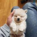 따봉 - 화천군 중앙로6길 13-9 | 따봉