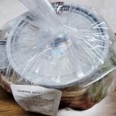 두마족의 시대 이미지