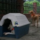 안녕하세요 이미지