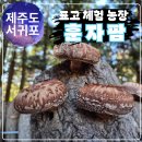 훈자팜