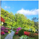 중부대로 681번길 | 용인고급요양원 도심 속 숲세권, 시니어캐슬요양원 후기