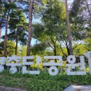 서울남대문시장 이미지