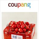 세도농업협동조합 | 충남 세도농협 GAP 대추방울토마토 1kg 솔직 후기 | 달고 아삭한 방울토마토 추천!