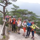 초원의 집 이미지