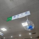 대구 전자관 삼성스토어 태영전자 내돈내산후기