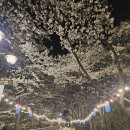 877기 1대대 040903 우성빈 이미지