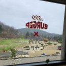 커피&착한수제버거 | 포천 애견 카페 대형놀이터에 수제버거까지 완벽한 599버거