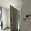 수림365 이미지