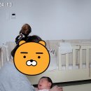 위니아서비스남인천점 | 인천 남동구 참사랑어머니회 남인천점 산후도우미 추천