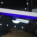 멀티카케어그랜드