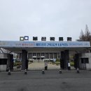 용당포구 | 부산박물관 기획특별전 《바다를 건너간 녀석들》 관람 후기