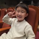세종문화예술회관 | 세종문화예술회관 아이랑 공연관람 후기 [2026 뮤지컬 100층짜리 집]