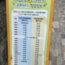 수정산가족체육공원 2(배드민턴장) | 수정산꿈자람터 다녀온 기록!