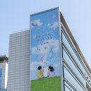 세종시 교육청 이미지