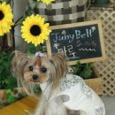 라즈베리힐 이미지