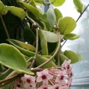 우각농장 이미지