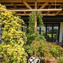 목향별관 이미지