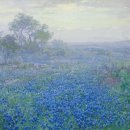 풀밭나라 이미지