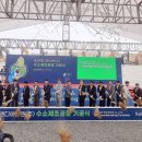 케이앤디