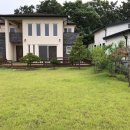 바다의 숲속 이미지