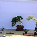 공산중학교 이미지