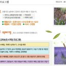꽃내라팜 이미지