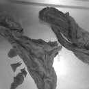 하슬라동물병원 이미지