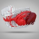 토평동물병원 이미지