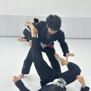 존프랭클 위즈덤 주짓수 이미지