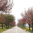 다산숲 이미지