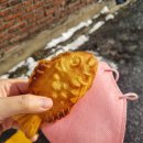 멍털도둑 이미지