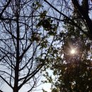 아시아선수촌공원 이미지