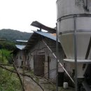 고성리-3 이미지